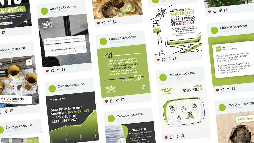 Graphic collage showing multiple examples of social media posts created by Dispatch Digital for Contego Environmental Services
