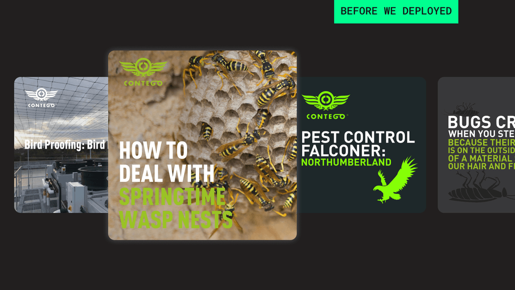 Contego Social Media Before We Provided Our Services